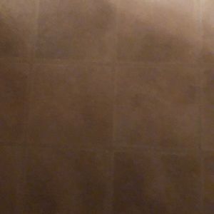 Meet your Posher, Adanech